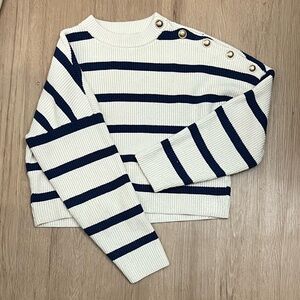 Maje Marin Breton Stripe Buttoned Sweater